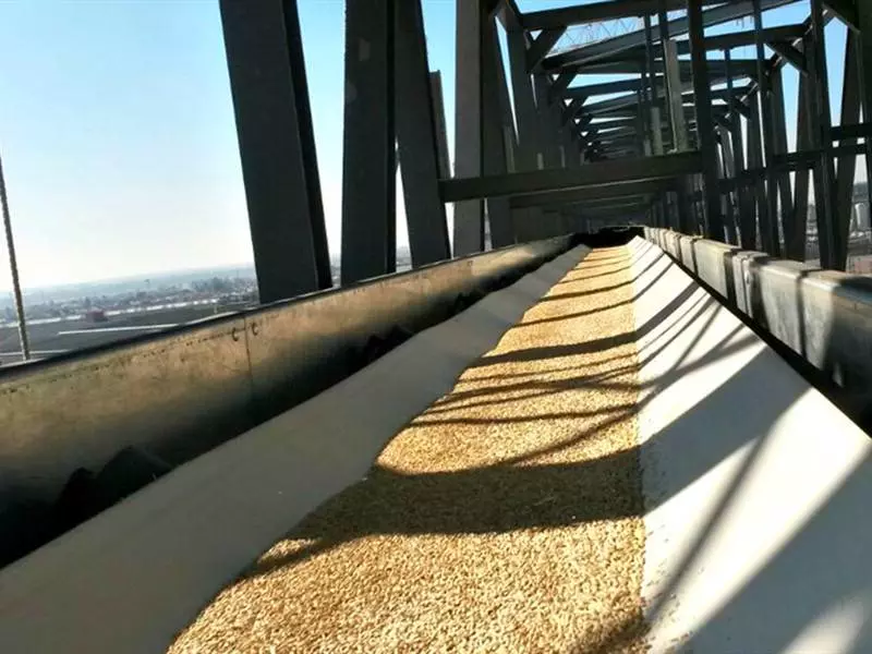 Grain Belt Conveyor & Grain Conveyor Belt